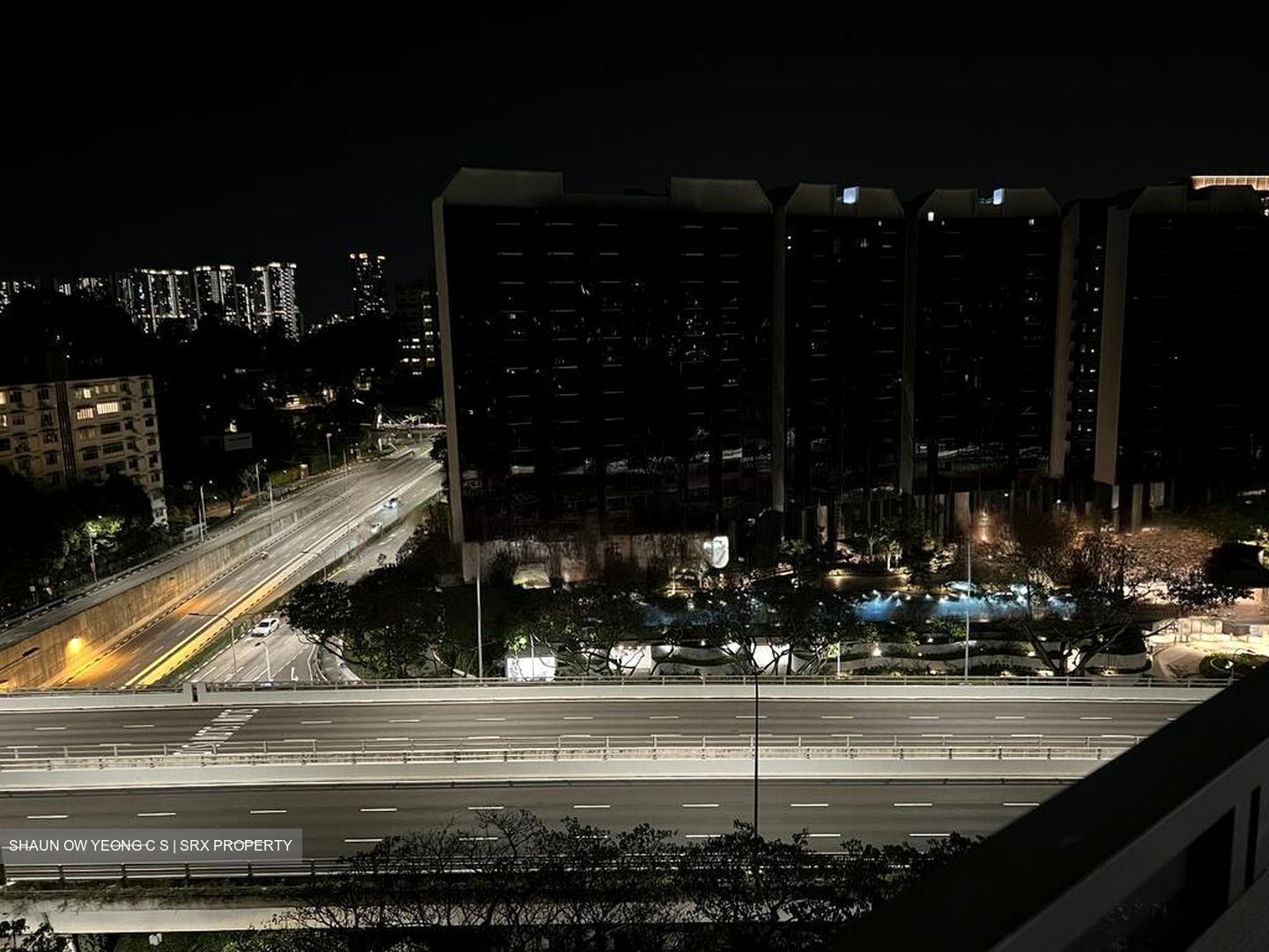 Leedon Green (D10), Condominium #432369011